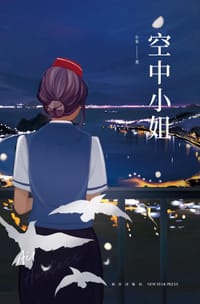 书籍 空中小姐的封面