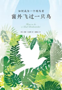 窗外飞过一只鸟 - [英]西蒙·巴恩斯