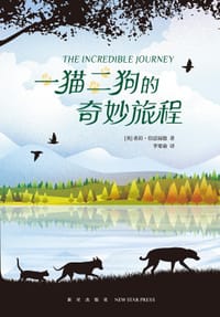 一猫二狗的奇妙旅程