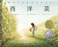 西洋菜