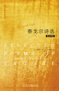 书籍 泰戈尔诗选的封面