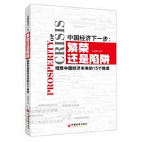 书籍 中国经济下一步的封面