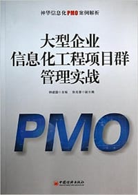 书籍 大型企业信息化工程项目群管理实战:神华信息化PMO案例解析的封面