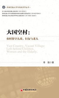 书籍 大国空村的封面