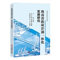 海南省儋州洋浦一体化发展研究