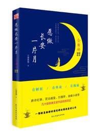 书籍 愿做长安一片月的封面