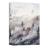 书籍 荒野的封面