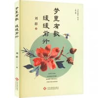 书籍 梦里有歌，缓缓前行的封面