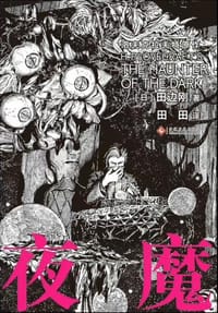 书籍 夜魔的封面