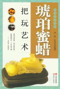 书籍 琥珀蜜蜡把玩艺术的封面