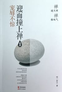 书籍 迎面撞上禅1的封面