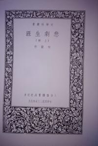 书籍 悲剧生涯（上）的封面