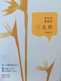 书籍 三毛传的封面