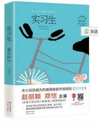 书籍 实习生的封面