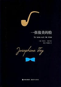 书籍 一张俊美的脸的封面