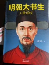 书籍 明朝大书生的封面