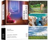 心若从容，无所畏惧