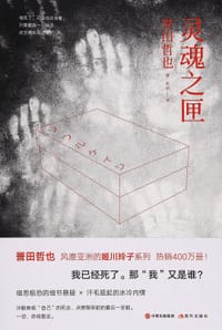 书籍 灵魂之匣的封面