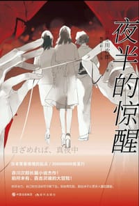 书籍 夜半的惊醒的封面