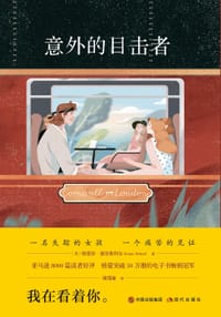 书籍 意外的目击者的封面