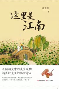 书籍 这里是江南的封面