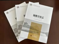 杨柳青镇志