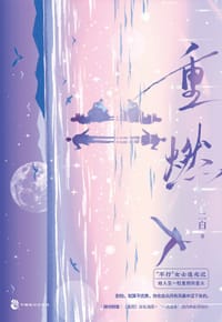 书籍 重燃的封面