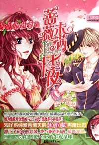 书籍 蔷薇未满十七夜的封面