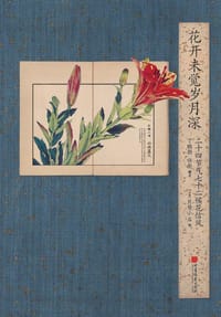 花开未觉岁月深：二十四节气七十二候花信风