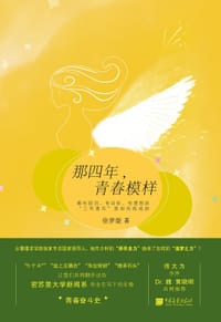 书籍 那四年，青春模样的封面