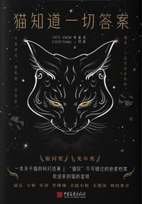 猫知道一切答案 - 凌晨