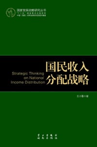 书籍 国民收入分配战略的封面