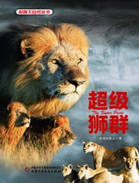 超级狮群 - 非洲的青山