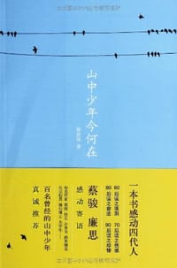 山中少年今何在