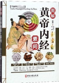 图解黄帝内经 素问 - 韦桂宁