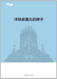 洋铁皮盖儿的房子