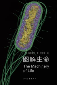 图解生命 - [美] 大卫·古德赛尔