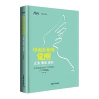 中国企业的觉醒：正直 - 无名图书