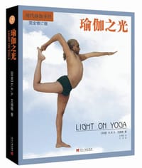 书籍 瑜伽之光 第三版的封面