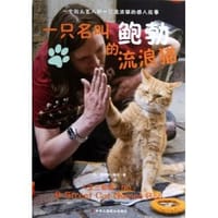 书籍 一只名叫鲍勃的流浪猫的封面