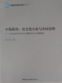 书籍 小农政治：社会化小农与乡村治理的封面