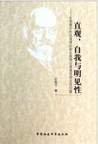 书籍 直观、自我与明见性的封面