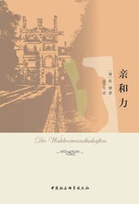 亲和力 - (德) 歌德