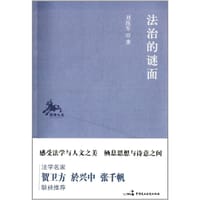 书籍 法治的谜面的封面