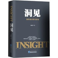 书籍 洞见的封面