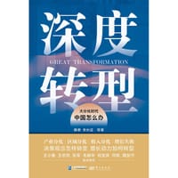 书籍 深度转型的封面