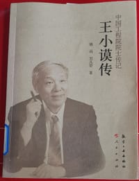 王小谟传