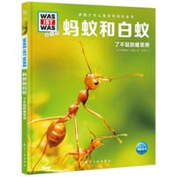 蚂蚁和白蚁：了不起的建筑师