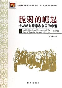 书籍 脆弱的崛起的封面