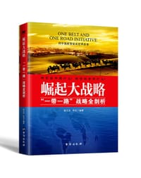 书籍 崛起大战略的封面